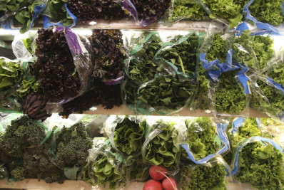 Alimentação pode fechar julho em deflação no IPC, avalia Guilherme Moreira, da Fipe