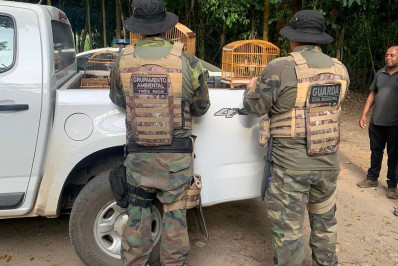 Proteção à fauna: GPA-TR e Polícia Civil resgatam e devolvem pássaros à natureza