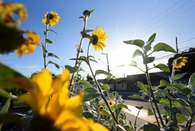 Meteorologia: Tempo segue estável em Maricá até quarta-feira (26)