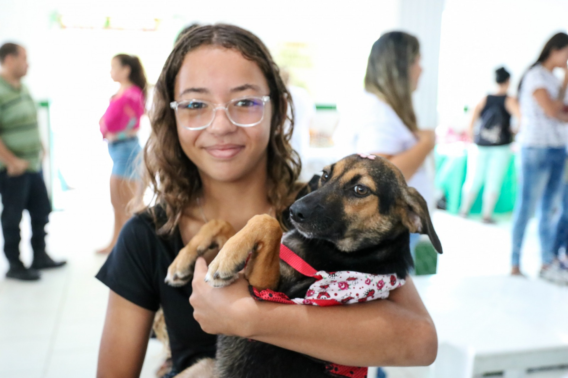 Saquarema realiza Campanha de Adoção de Animais Domésticos no próximo sábado (29) - Divulgação/Prefeitura de Saquarema