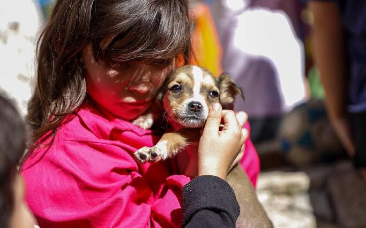 Adoção PET é uma oportunidade de resgate dos animais - Secom Pmmp