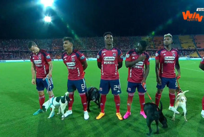 Vídeo: cachorro faz xixi na perna de jogador antes de partida de futebol na Colômbia