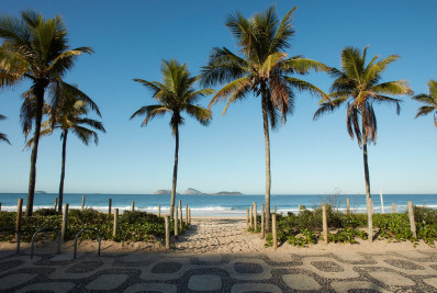 Polícia investiga crime de depredação contra canteiros de vegetação nativa em praias da Zona Sul