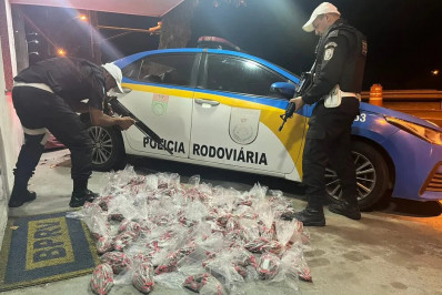 CPRv apreende 53 kg de maconha com destino a Cabo Frio