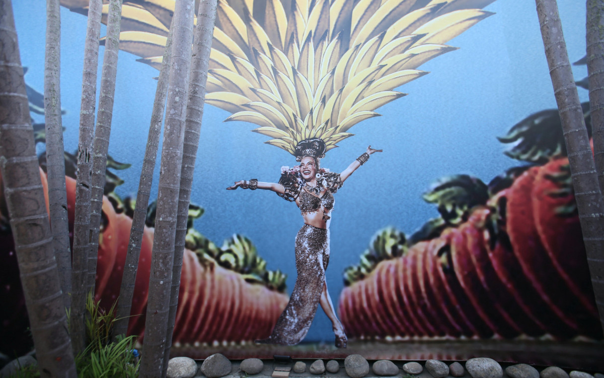 Jardim do museu est&aacute; com uma tela com imagem de Carmen Miranda com bananas na cabe&ccedil;a - Cleber Mendes/Agencia O Dia