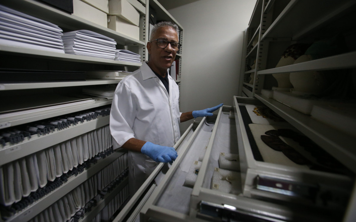 PAUTA ESPECIAL: Museu Carmen Miranda, no Parque do Flamengo, Rio de Janeiro. Nesta Quinta-feira (27). - Cleber Mendes/Agencia O Dia
