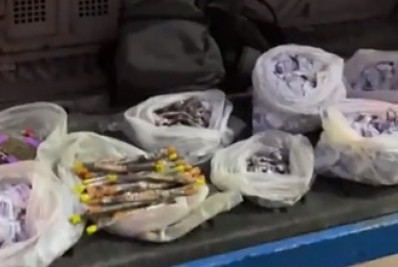 Dois criminosos são presos em ação da PM na comunidade do Sebinho