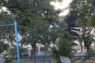 Isabele Benito: abra a mente, mané!