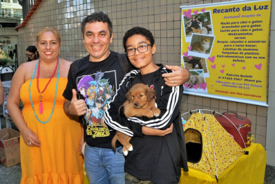 Nova Iguaçu terá feira de adoção de animais no sábado e no domingo