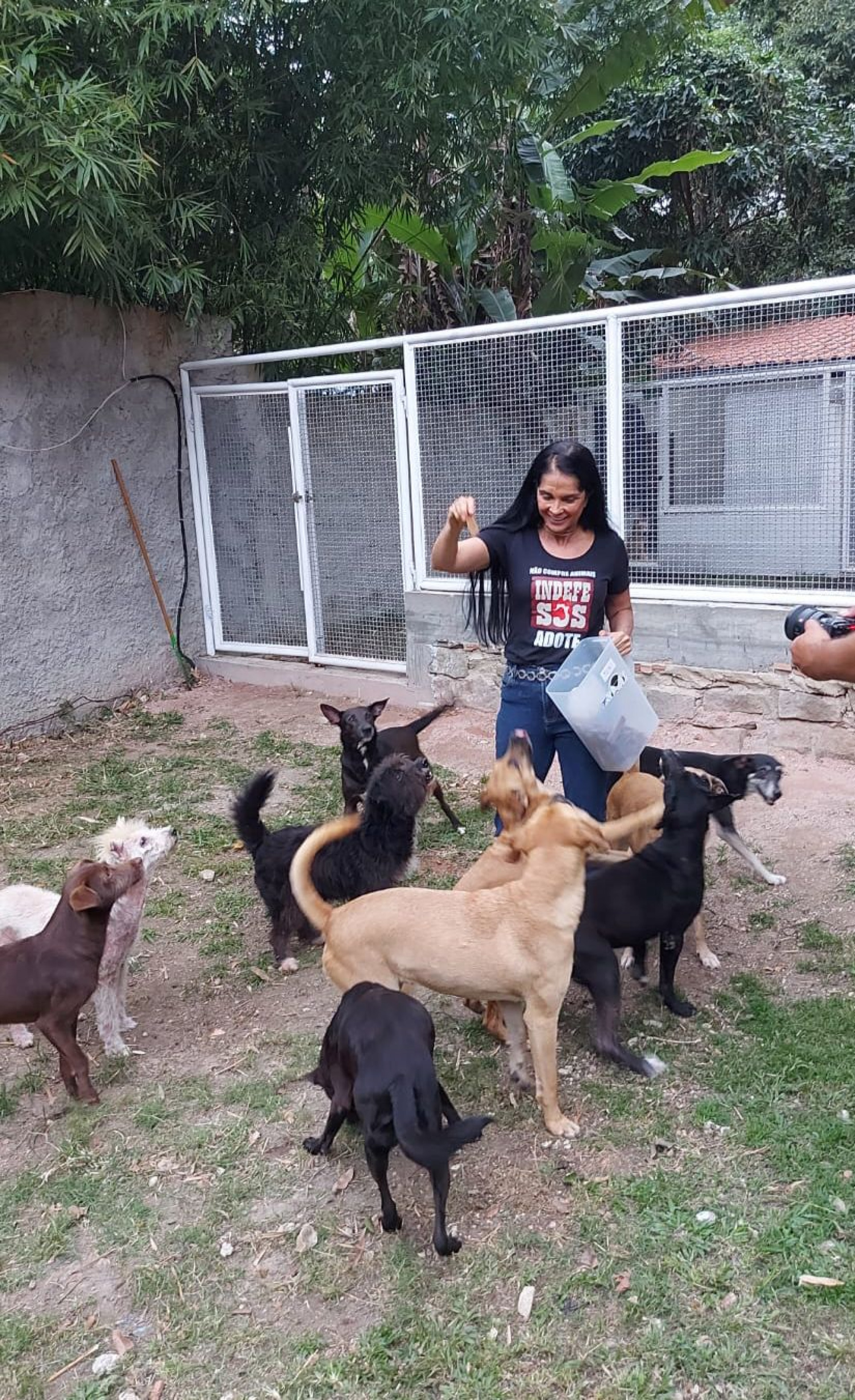 Rosana Guerra, defensora dos animais e fundadora da ONG Os Indefesos - Divulgação