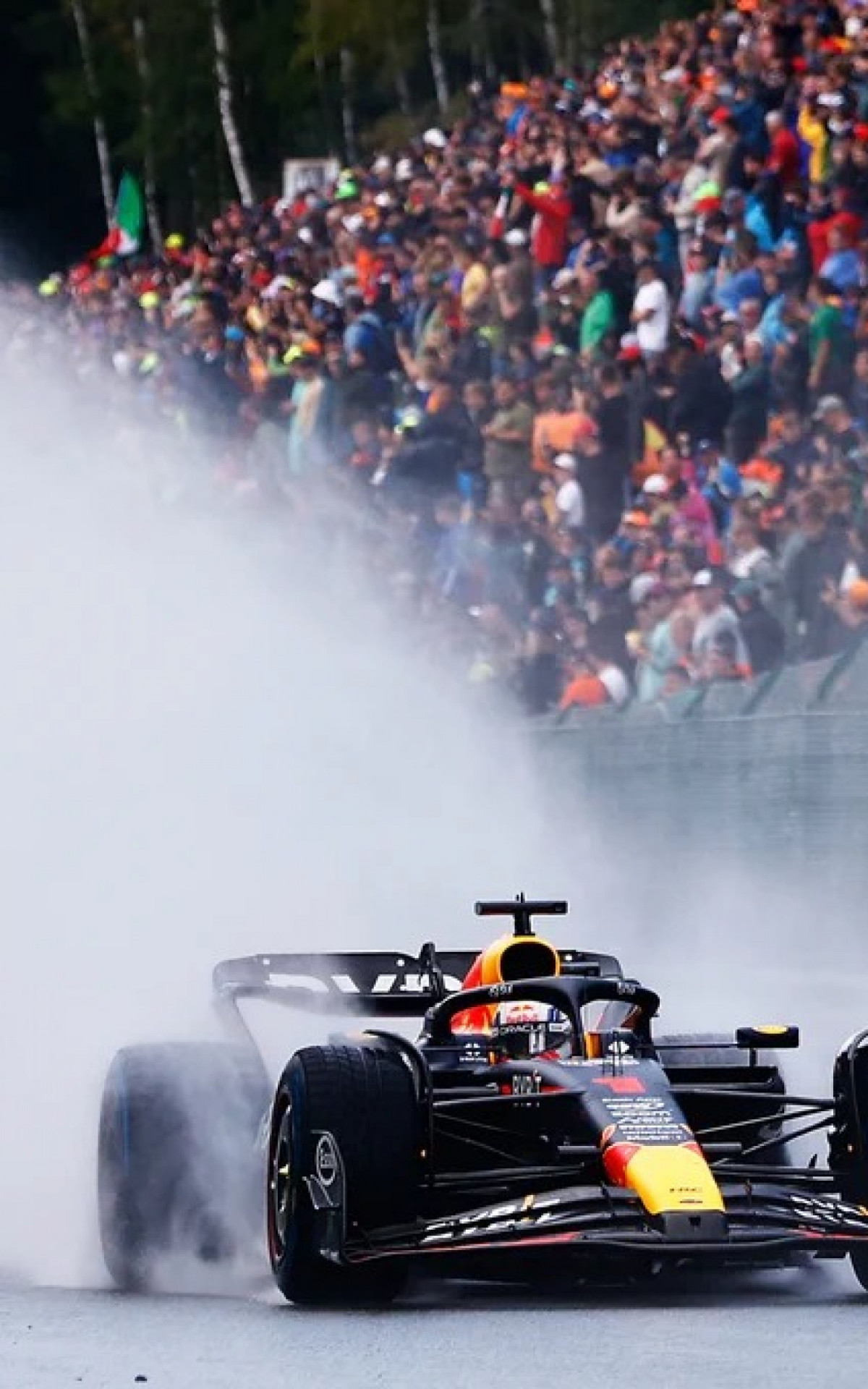 Max Verstappen venceu mais uma na Fórmula 1 - Divulgação/Red Bull Racing 