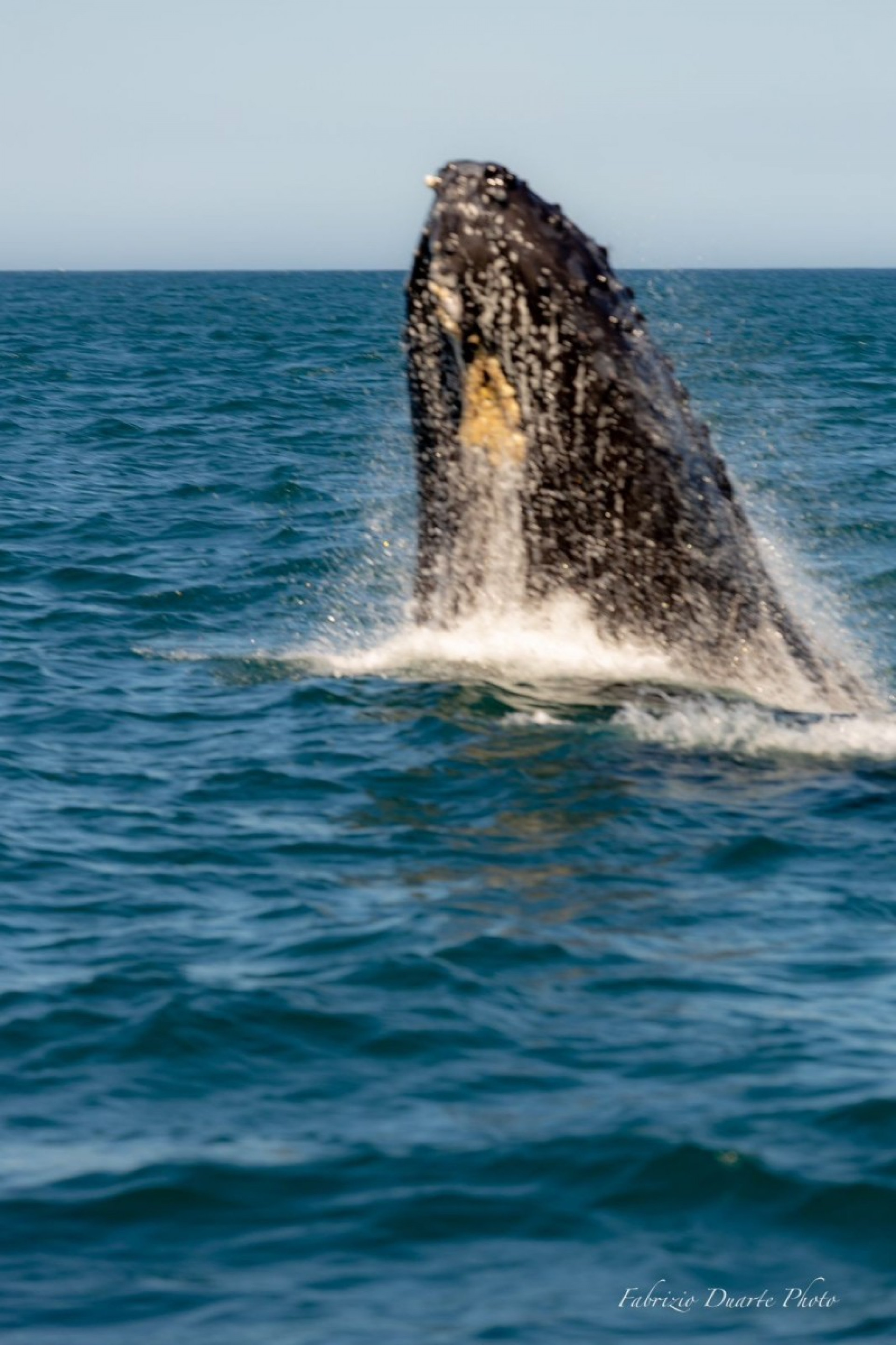 Imagem: Fabrício Duarte
