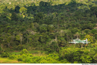 Homens são presos ao tentar furar bloqueio na Terra Yanomami