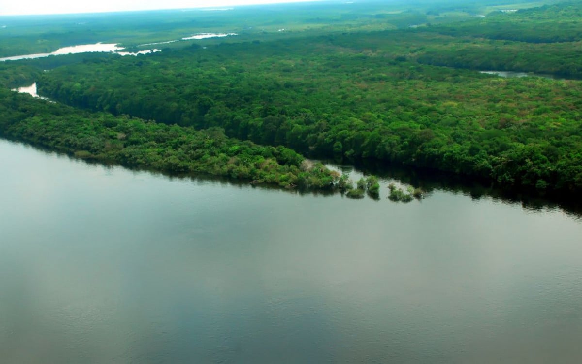 Cúpula, em Belém, será a ?voz amazônica?, diz diretor da OTCA