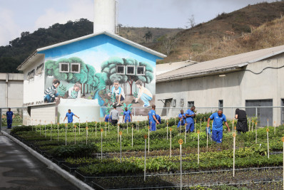 Penitenciária de Resende recebe projeto de viveiro florestal