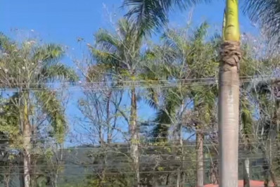 Polícia Civil prende jovem de 22 anos que roubava pousada em Paraty