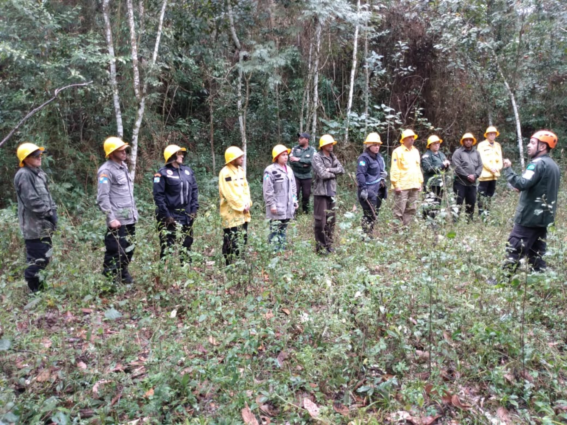 Socorristas em treinamento - Divulgação