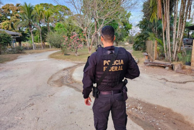 PF combate desmatamento para criação de gado na floresta amazônica