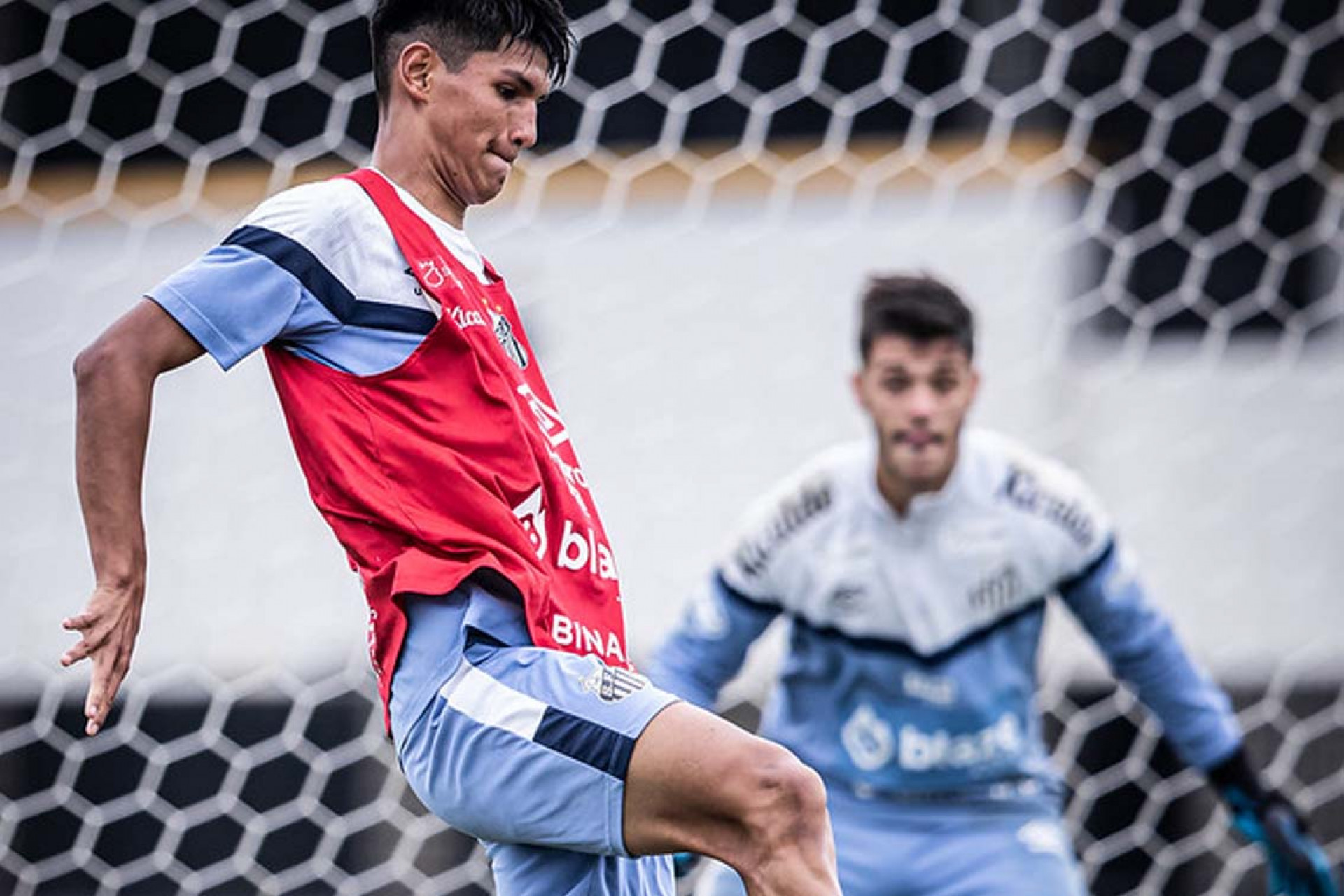 Palmeiras x Corinthians, semifinal do Brasileiro Sub-20: onde assistir,  escalações