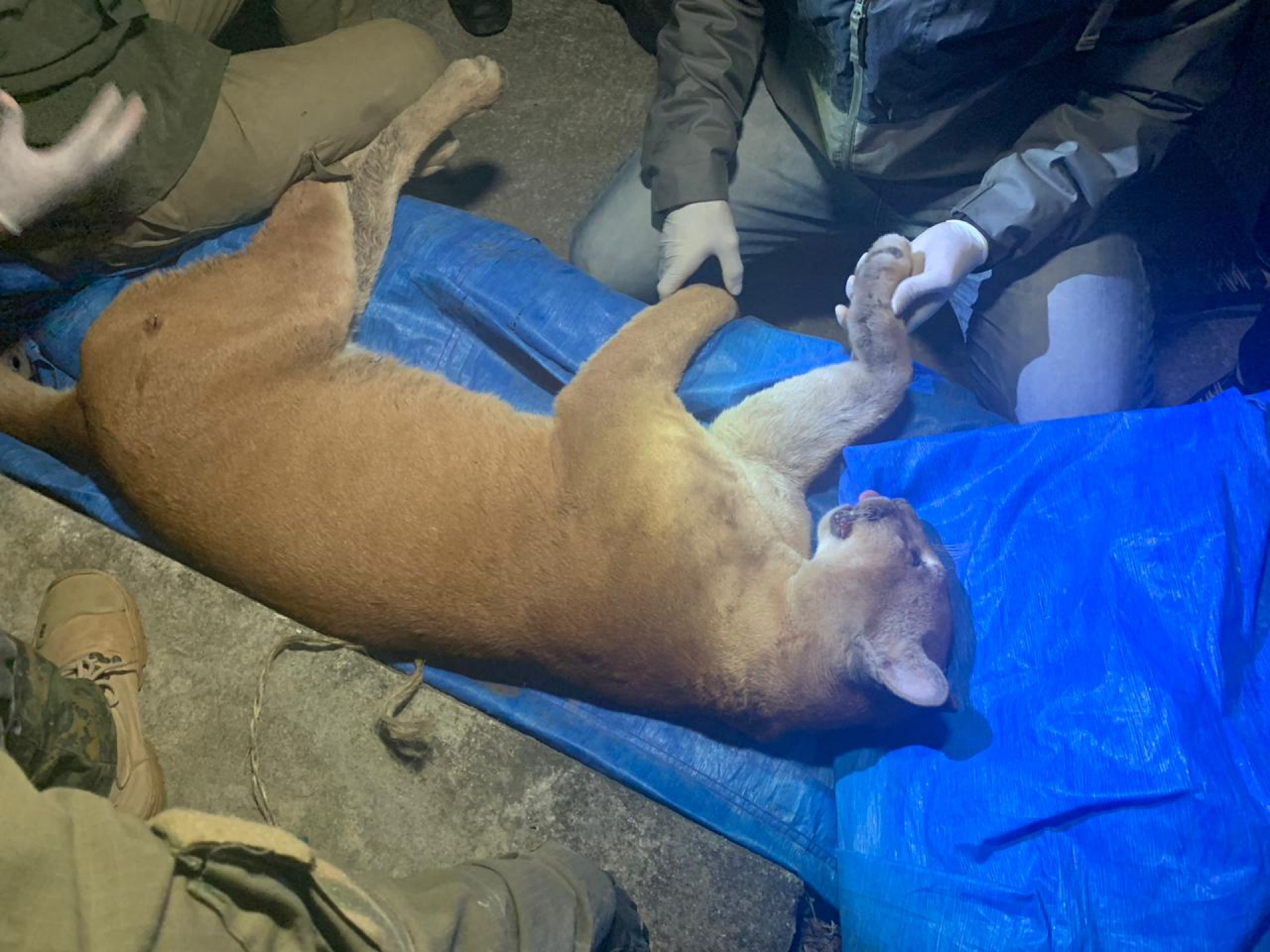 Saquarema realiza seminário com o tema 