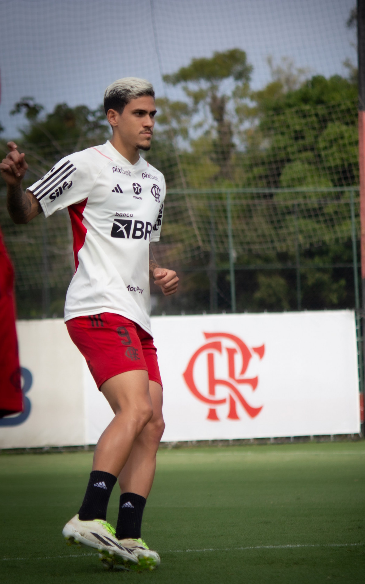 Pedro, atacante do Flamengo - Divulgação / Flamengo