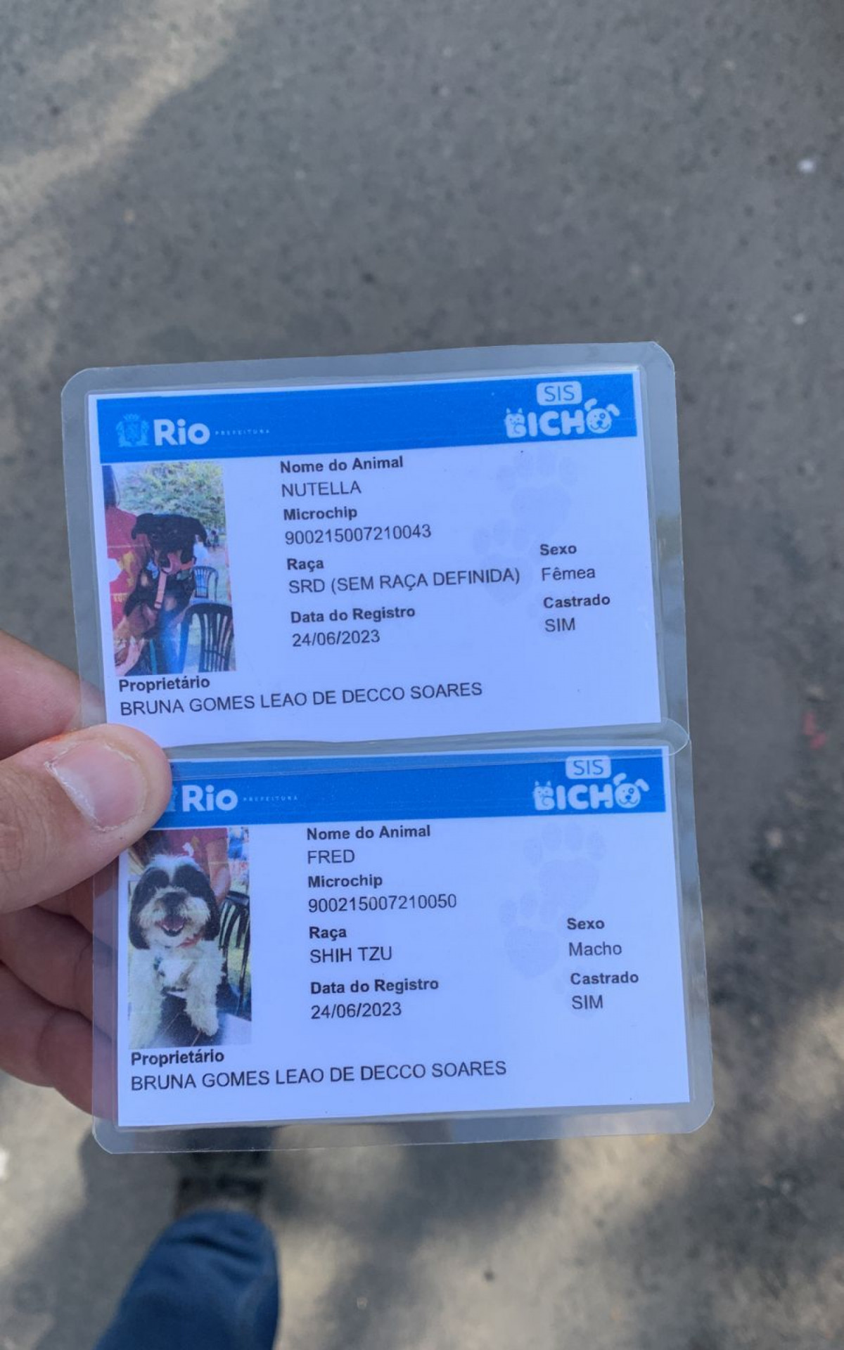 Identidade do animal cadastrado e microchipado  - Divulga&ccedil;&atilde;o