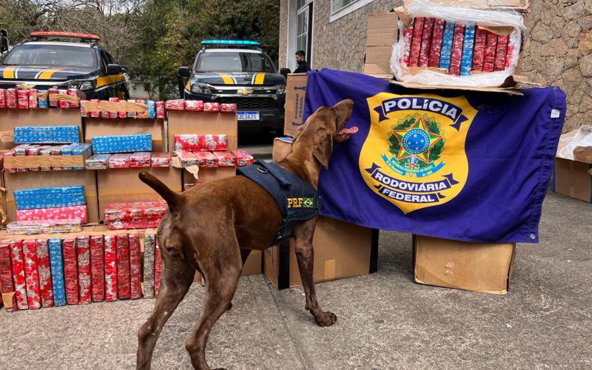 Drogas estava escondidas dentro de uma carga de lenços umedecidos