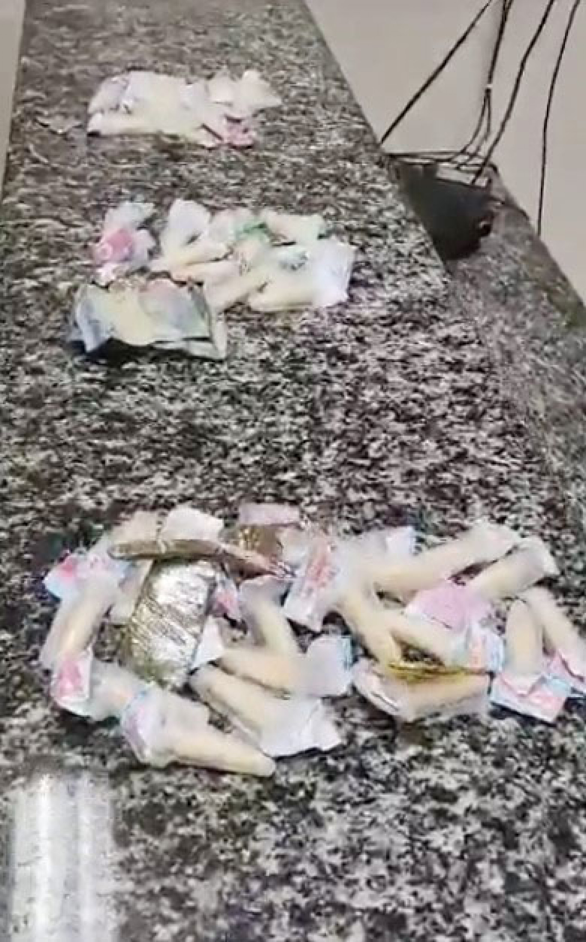 Os entorpecentes apreendidos em blitz são levados para a 67ª DP, em Guapimirim