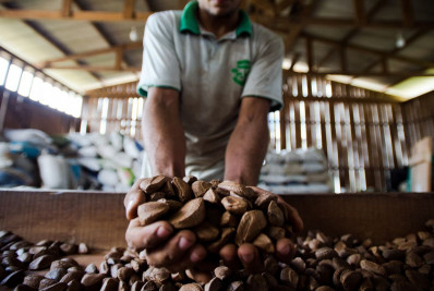Extrativistas querem que produtos tenham chancela de povo da Amazônia