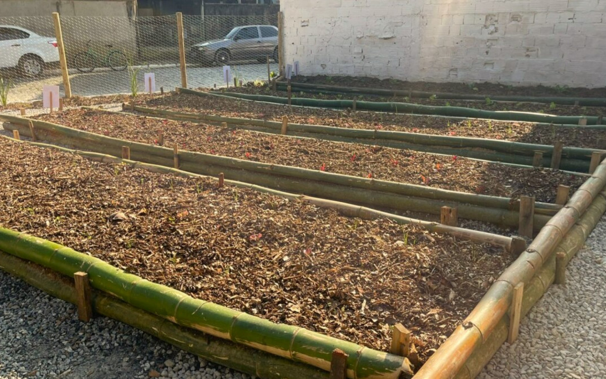  Centro Educacional Integrado de Casimiro de Abreu inaugura horta familiar