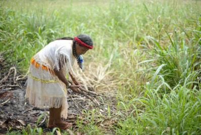 Plantas bem cuidadas alimentam melhor e ajudam o clima, diz movimento