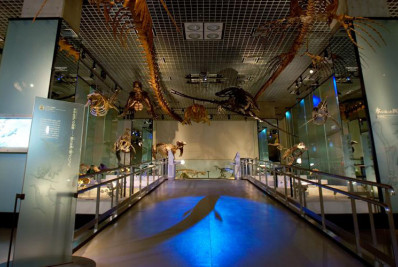 Segundo museu mais antigo do Japão recorre a financiamento coletivo para sobreviver