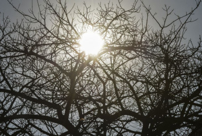 Umidade do ar no Centro-Oeste fica abaixo dos 20%; OMS considera 60% como ideal