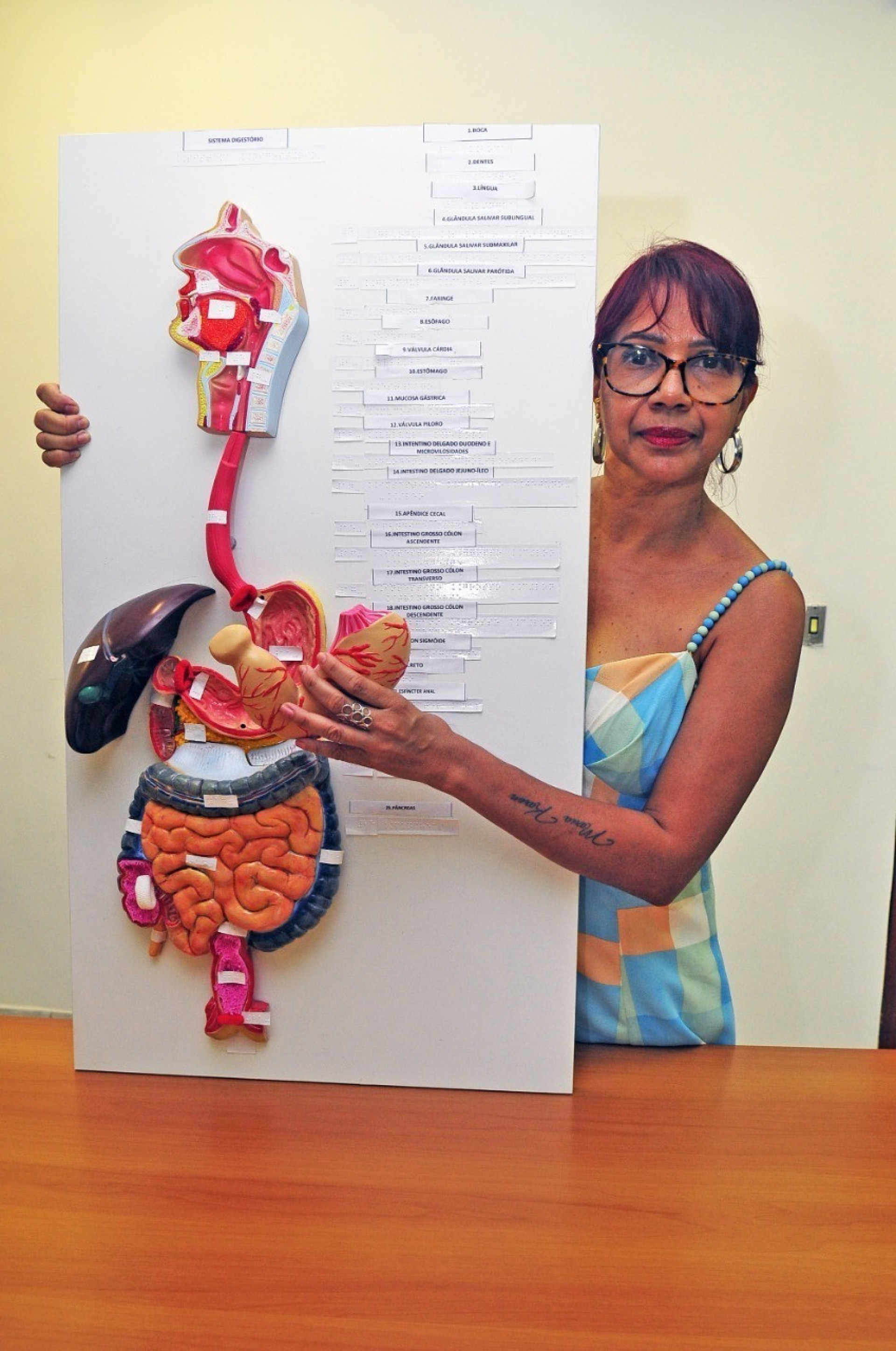 A professora Silvia Salgado, da Faetec, criou modelo do sistema digest&oacute;rio inclusivo  - Divulga&ccedil;&atilde;o 