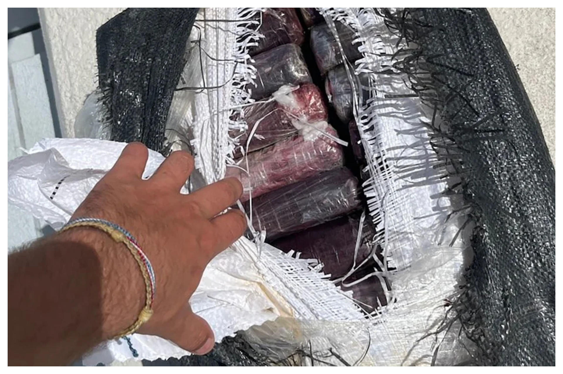 Polícia apreendeu  30 quilos de cocaína, avaliados em cerca de US$ 1,1 milhão - Jane Castor