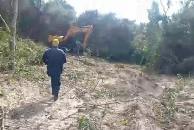 Desmatamento em área da Estrada do Guriri, em Cabo Frio, é embargado após denúncia
