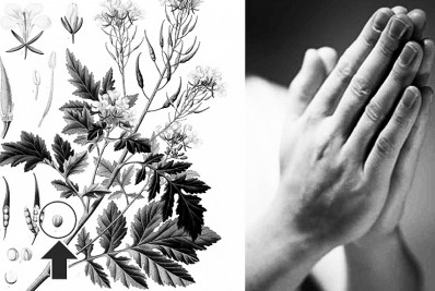 Ser relevante é possuir fé mesmo diante de grandes obstáculos