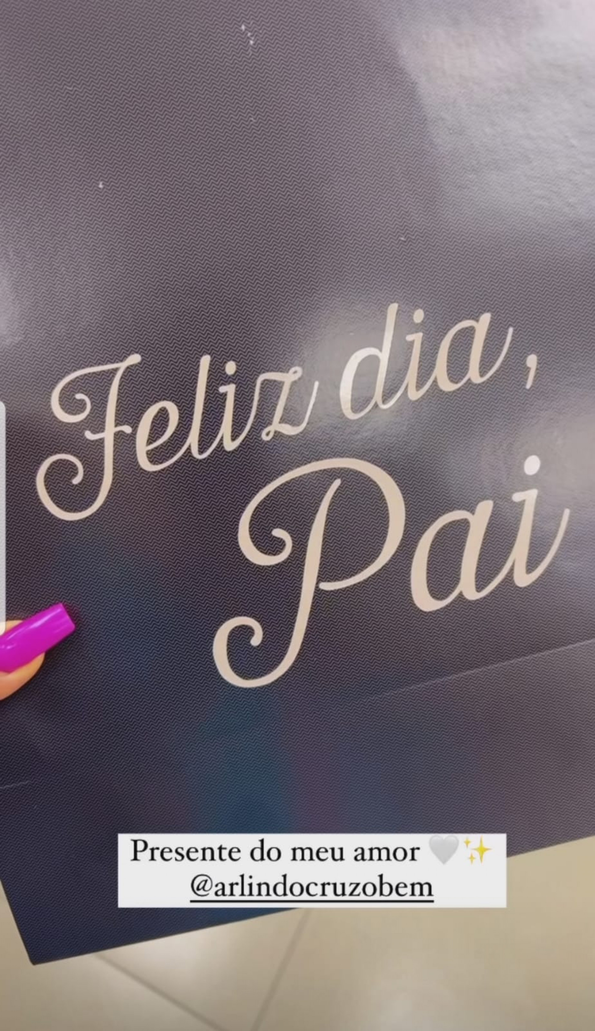 Presente do Dia dos Pais de Arlindo Cruz - Reprodução / Instagram