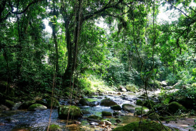 SOS Mata Atlântica mapeia 1,5 mil unidades de conservação municipais