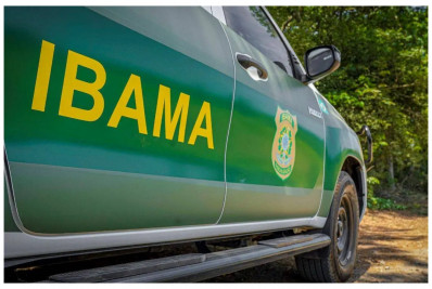 Governo autoriza nomeação de 257 analistas e técnicos do Ibama
