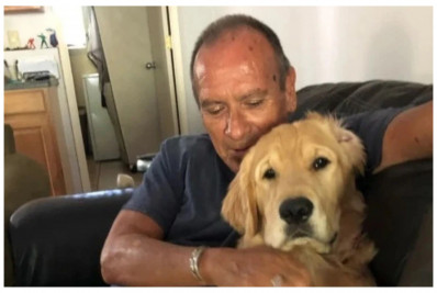 Homem morre tentando proteger cachorro do melhor amigo de incêndio no Havaí