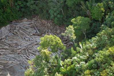 AGU consegue bloqueio de R$ 95,6 milhões de acusados por desmatamento