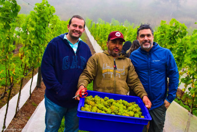 Paty do Alferes: A terra do tomate também é da uva e do vinho