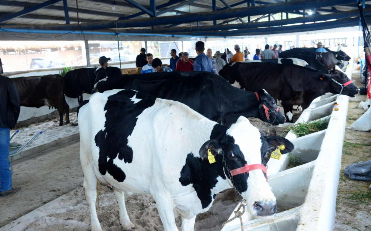 ExpoAgro é um momento de celebração da cultura, agropecuária e negócios em Quissamã