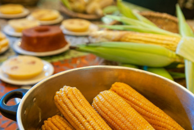 Festa do Milho na Região Serrana de Macaé: uma delícia de evento para o final de semana