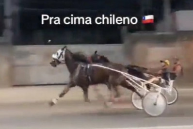 Vídeo: corrida de cavalo toma rua em Duque de Caxias; polícia investiga o caso