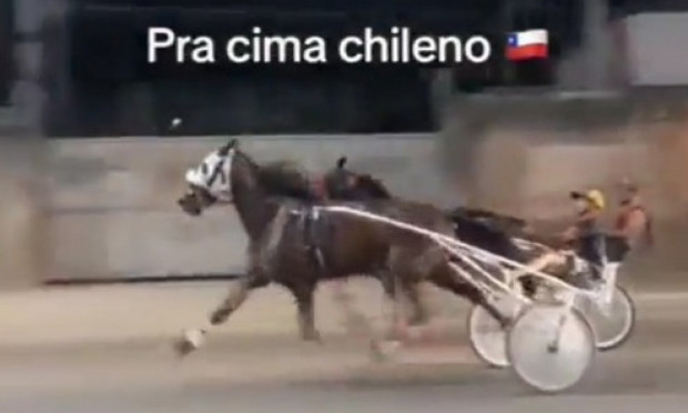 Polícia investiga vídeos virais de corrida de cavalos no Rio de Janeiro