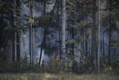 Incêndios florestais no Canadá têm mil focos ativos; fogo ameaça cidades