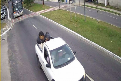 Imagens do Centro de Monitoramento de Búzios identifica homem que furtou blocos de intertravados das obras no Centro