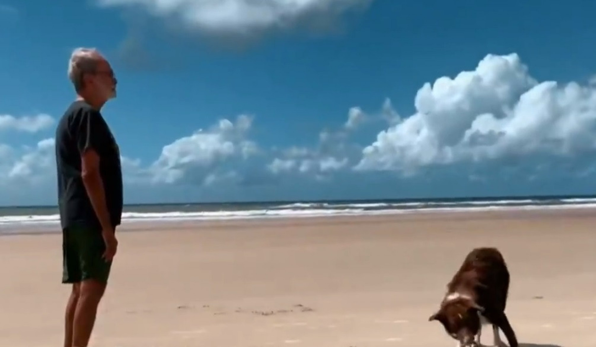 Maurício Kubrusly é homenageado em série do 'Fantástico' - Reprodução / TV Globo